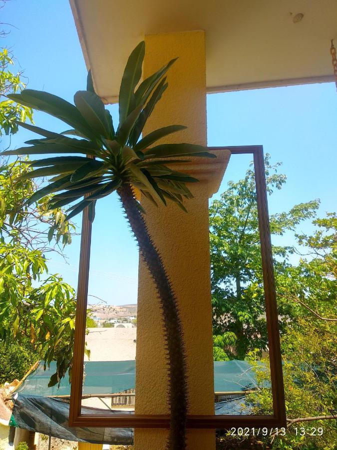 Room in Guest room - Padrinos Hostal La Paz Full House Exterior foto